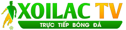 lịch bóng đá thế giới